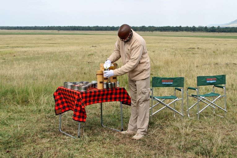 The future safari experience