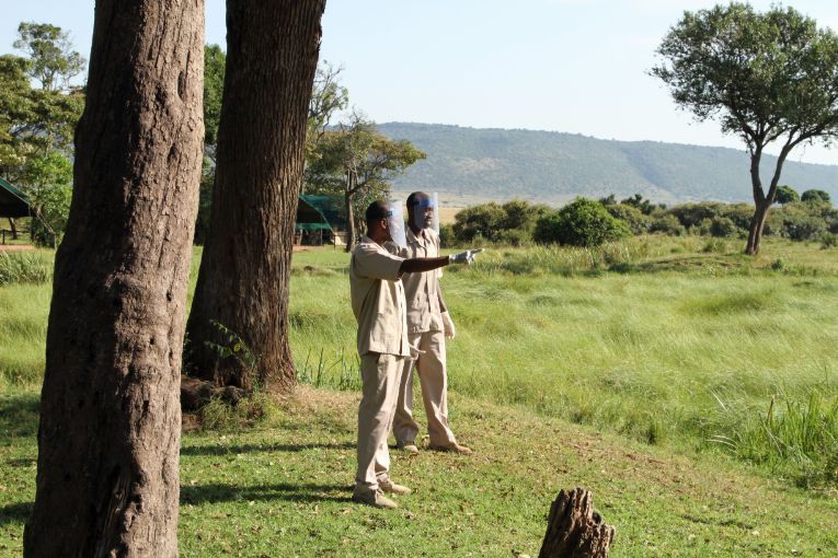 The future safari experience