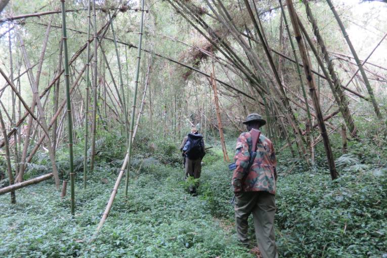 rangers wildlife conservation kenya