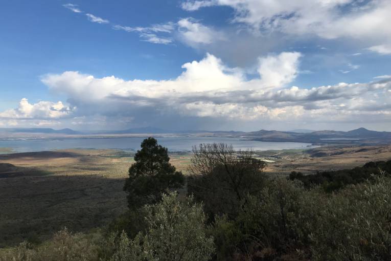 view from eburru forest kenya 