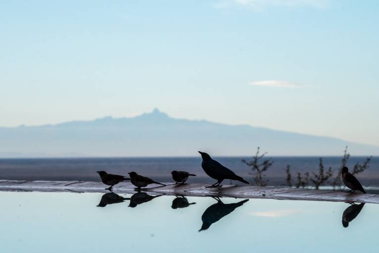 Mount kenya view Laikipia