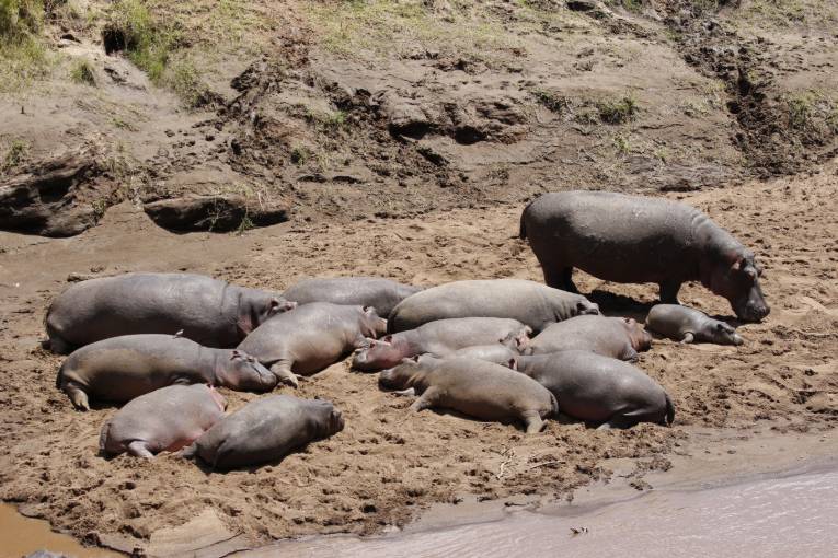 April in the Masai Mara