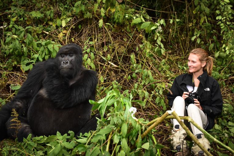 mountain gorilla rwanda