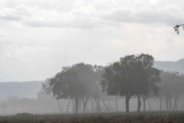 rain storm masai mara