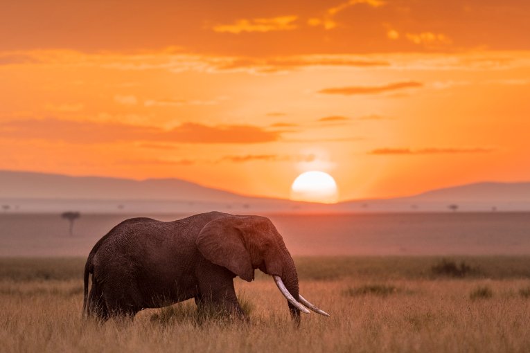 Sunrise masai mara kenya