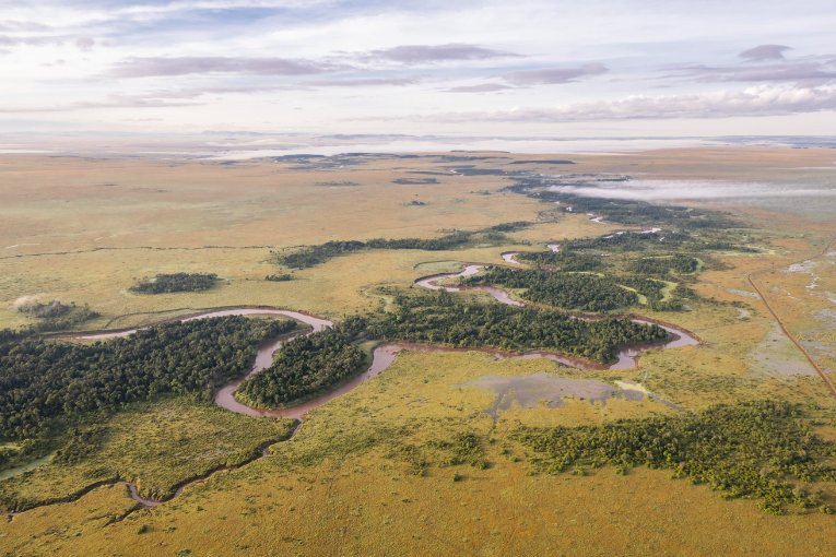 Masai Mara landscape Kenya