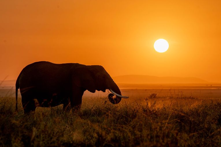 Masai Mara sunrise