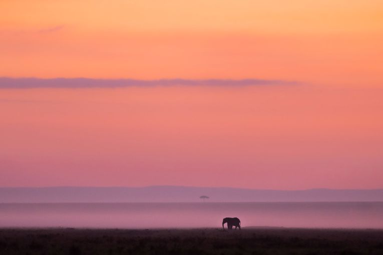 Masai Mara Kenya sunrise