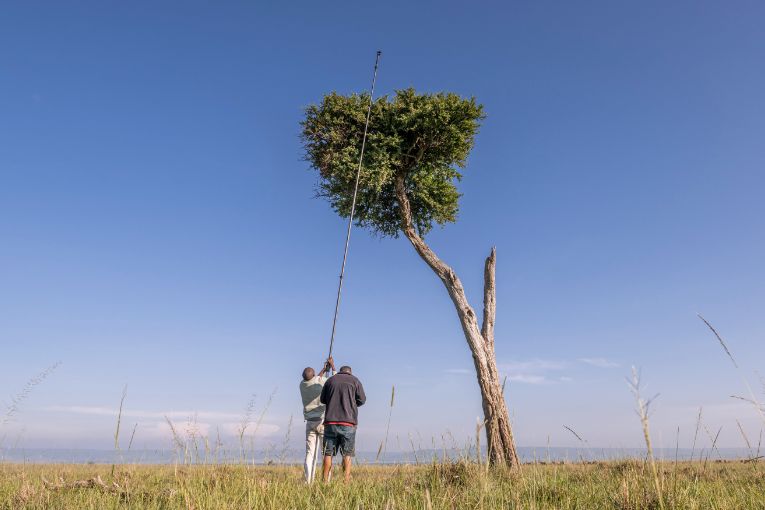 Raptor nest monitoring Masai Mara