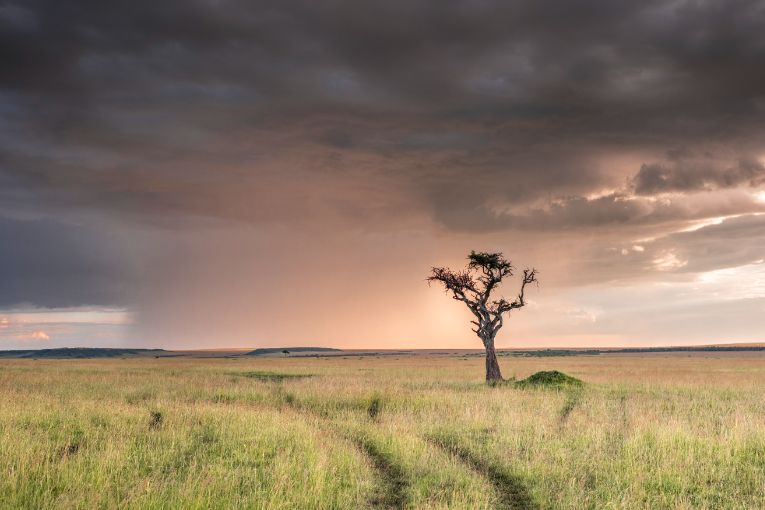 May in the Masai Mara