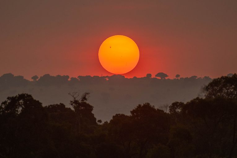 sunset Masai Mara