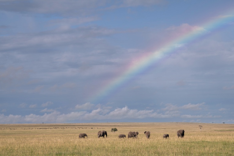Rainbow Masai Mara Kenya